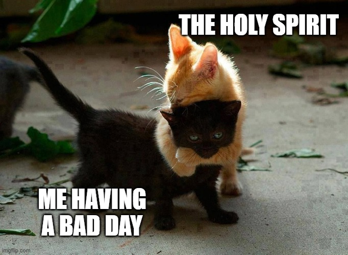 hug | THE HOLY SPIRIT; ME HAVING A BAD DAY | image tagged in kitten hug | made w/ Imgflip meme maker