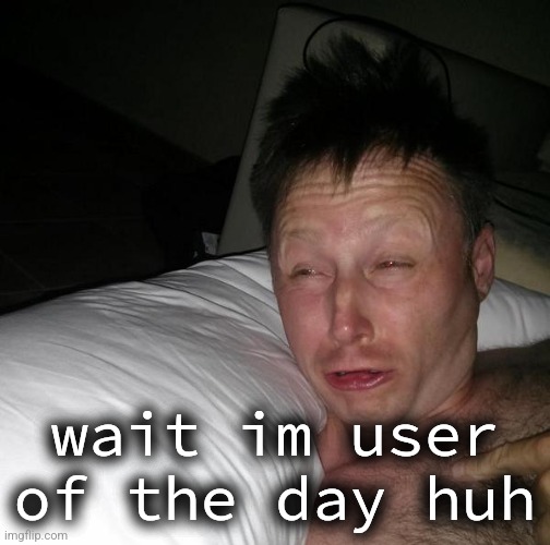 i didn't add that huh i mean yay but like wha | wait im user of the day huh | image tagged in limmy waking up | made w/ Imgflip meme maker