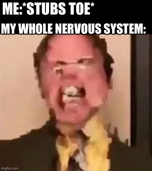 Dwight Screaming | ME:*STUBS TOE*; MY WHOLE NERVOUS SYSTEM: | image tagged in dwight screaming | made w/ Imgflip meme maker