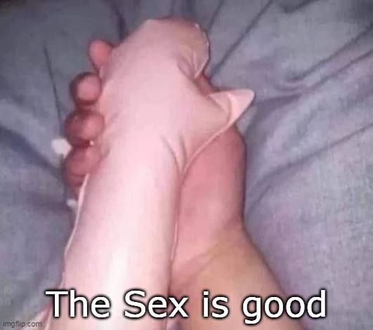 The Sex is good | made w/ Imgflip meme maker