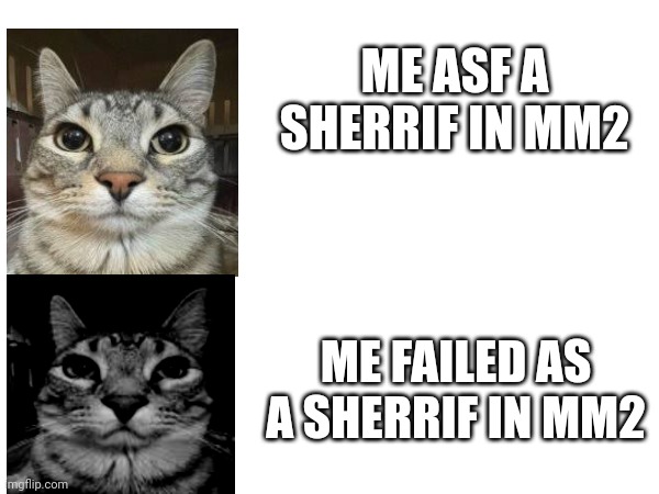 Realated thing in mm2 | ME ASF A SHERRIF IN MM2; ME FAILED AS A SHERRIF IN MM2 | image tagged in roblox meme | made w/ Imgflip meme maker