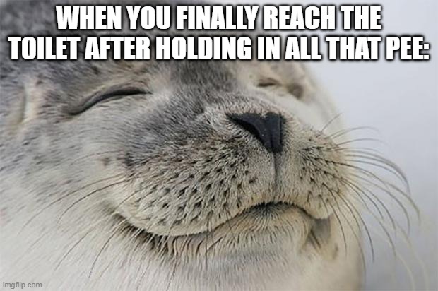 fr tho | WHEN YOU FINALLY REACH THE TOILET AFTER HOLDING IN ALL THAT PEE: | image tagged in memes,satisfied seal,relatable | made w/ Imgflip meme maker