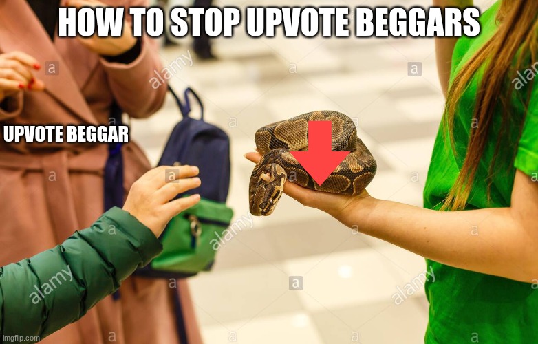 Handing Over Snake | HOW TO STOP UPVOTE BEGGARS; UPVOTE BEGGAR | image tagged in handing over snake | made w/ Imgflip meme maker
