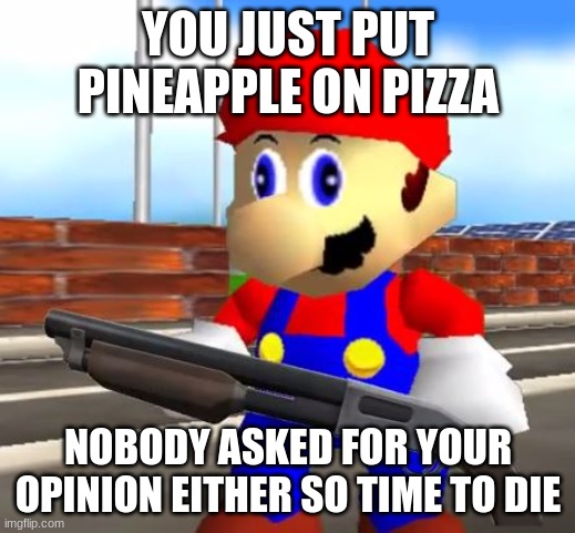 I don't remember submitting this | YOU JUST PUT PINEAPPLE ON PIZZA; NOBODY ASKED FOR YOUR OPINION EITHER SO TIME TO DIE | image tagged in smg4 shotgun mario | made w/ Imgflip meme maker