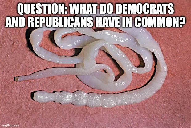 Great for rapid weight loss, not much else | QUESTION: WHAT DO DEMOCRATS AND REPUBLICANS HAVE IN COMMON? | image tagged in tapeworm | made w/ Imgflip meme maker