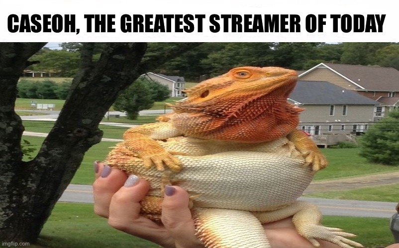 Who Would Win Blank | CASEOH, THE GREATEST STREAMER OF TODAY | image tagged in who would win blank,memes,lizard,shitpost,streamer,animal meme | made w/ Imgflip meme maker