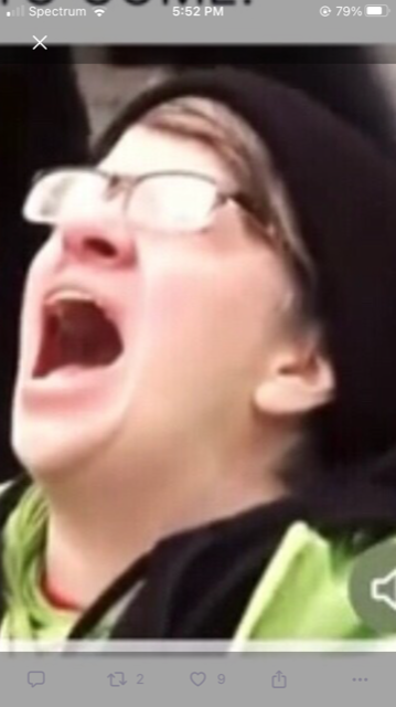 High Quality Screaming Deb Blank Meme Template