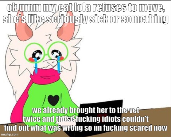 i woke up to this shi and now im crying, she's in pain why did i have to wake up to this | ok umm my cat lola refuses to move, she's like seriously sick or something; we already brought her to the vet twice and those fucking idiots couldn't find out what was wrong so im fucking scared now | image tagged in i'm a lil' sad | made w/ Imgflip meme maker