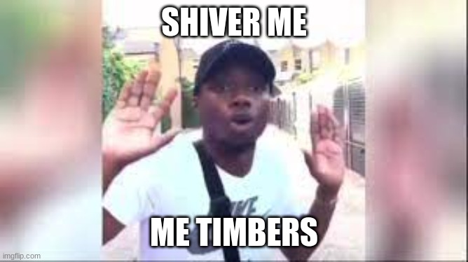 Shiver me Timbers | SHIVER ME ME TIMBERS | image tagged in shiver me timbers | made w/ Imgflip meme maker