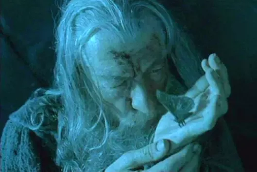 High Quality Gandalf Moth Blank Meme Template