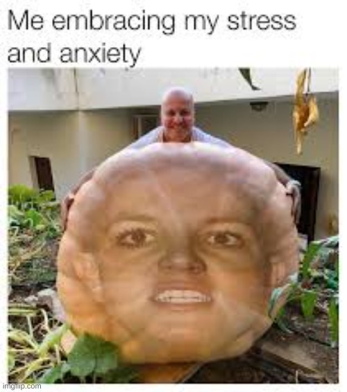 true | image tagged in funny,memes,face | made w/ Imgflip meme maker