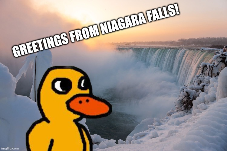 The duck in Niagara falls | GREETINGS FROM NIAGARA FALLS! | image tagged in niagara falls,duck,the duck song | made w/ Imgflip meme maker