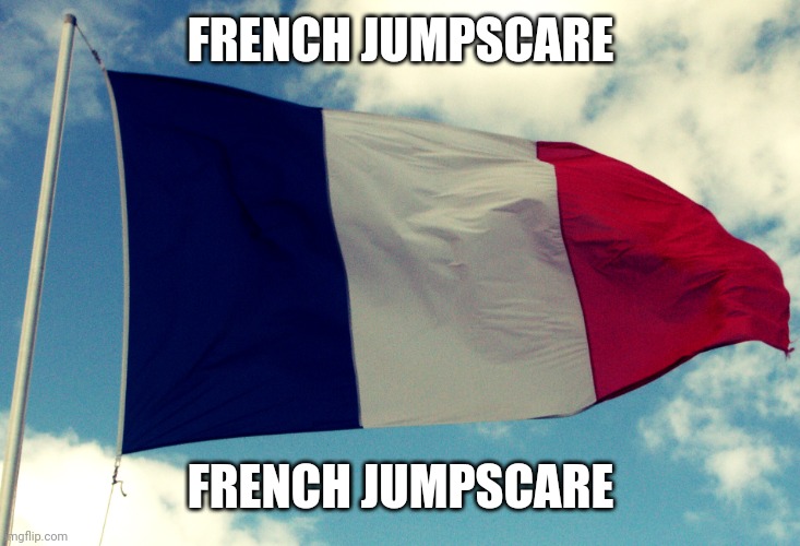 French Flag | FRENCH JUMPSCARE FRENCH JUMPSCARE | image tagged in french flag | made w/ Imgflip meme maker