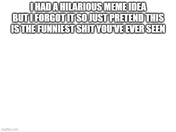 i know what a hilarious and relatable joke right guys right please laugh | I HAD A HILARIOUS MEME IDEA BUT I FORGOT IT SO JUST PRETEND THIS IS THE FUNNIEST SHIT YOU'VE EVER SEEN | image tagged in blank white template | made w/ Imgflip meme maker