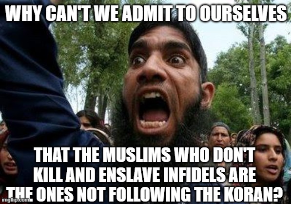 Angry Muslim | WHY CAN'T WE ADMIT TO OURSELVES; THAT THE MUSLIMS WHO DON'T KILL AND ENSLAVE INFIDELS ARE THE ONES NOT FOLLOWING THE KORAN? | image tagged in angry muslim | made w/ Imgflip meme maker