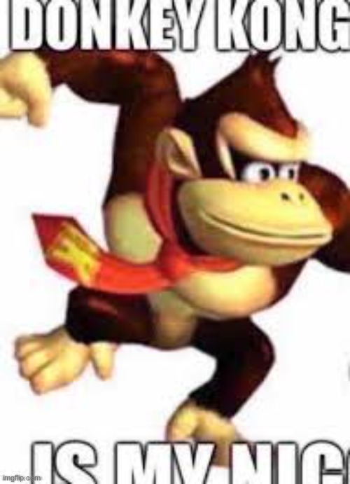 donkey kong is my nig | image tagged in donkey kong is my nig | made w/ Imgflip meme maker