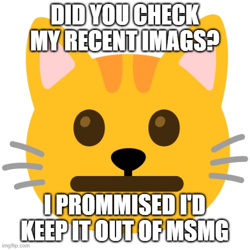 DID YOU CHECK MY RECENT IMAGS? I PROMMISED I'D KEEP IT OUT OF MSMG | made w/ Imgflip meme maker