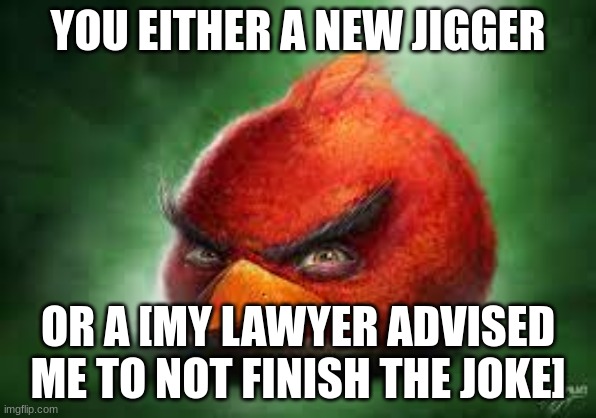 Realistic Red Angry Birds | YOU EITHER A NEW JIGGER OR A [MY LAWYER ADVISED ME TO NOT FINISH THE JOKE] | image tagged in realistic red angry birds | made w/ Imgflip meme maker