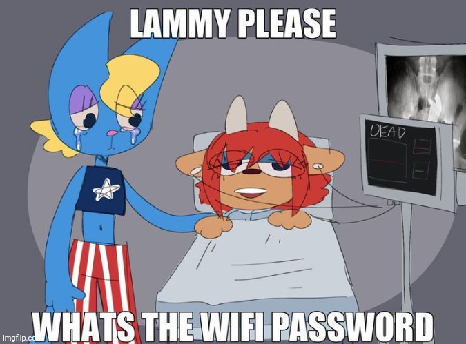 What the wifi password? | made w/ Imgflip meme maker