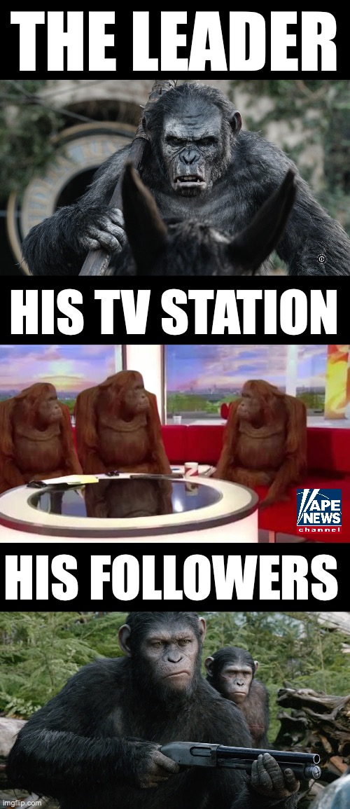 Make Apistan great again | THE LEADER; HIS TV STATION; HIS FOLLOWERS | image tagged in where monkey | made w/ Imgflip meme maker