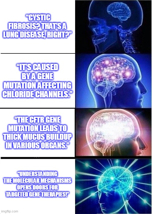 cystic fibrosis | “CYSTIC FIBROSIS? THAT’S A LUNG DISEASE, RIGHT?”; “IT’S CAUSED BY A GENE MUTATION AFFECTING CHLORIDE CHANNELS.”; “THE CFTR GENE MUTATION LEADS TO THICK MUCUS BUILDUP IN VARIOUS ORGANS.”; “UNDERSTANDING THE MOLECULAR MECHANISMS OPENS DOORS FOR TARGETED GENE THERAPIES!” | image tagged in memes,expanding brain | made w/ Imgflip meme maker