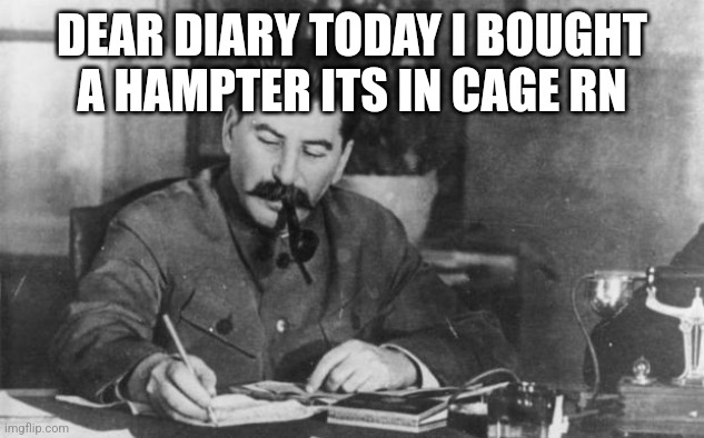 Stalin diary | DEAR DIARY TODAY I BOUGHT A HAMPTER ITS IN CAGE RN | image tagged in stalin diary | made w/ Imgflip meme maker