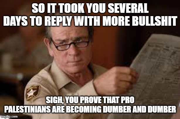 I used this in a comment dont get offended please | SO IT TOOK YOU SEVERAL DAYS TO REPLY WITH MORE BULLSHIT; SIGH, YOU PROVE THAT PRO PALESTINIANS ARE BECOMING DUMBER AND DUMBER | image tagged in no country for old men tommy lee jones | made w/ Imgflip meme maker