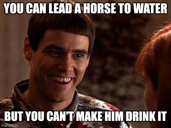 Lead a horse | YOU CAN LEAD A HORSE TO WATER; BUT YOU CAN'T MAKE HIM DRINK IT | image tagged in dumb and dumber,funny memes | made w/ Imgflip meme maker