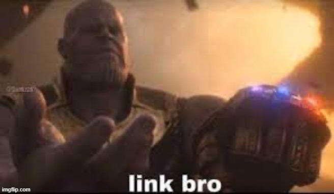 link bro | image tagged in link bro | made w/ Imgflip meme maker