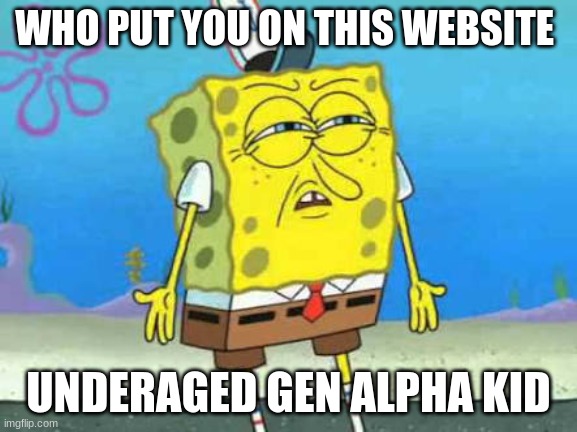 Who put you on the planet | WHO PUT YOU ON THIS WEBSITE UNDERAGED GEN ALPHA KID | image tagged in who put you on the planet | made w/ Imgflip meme maker