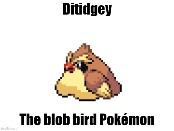 Sir you're overfeeding the pidgeon | Ditidgey; The blob bird Pokémon | image tagged in pokemon,pokemon fusion,funny,memes | made w/ Imgflip meme maker