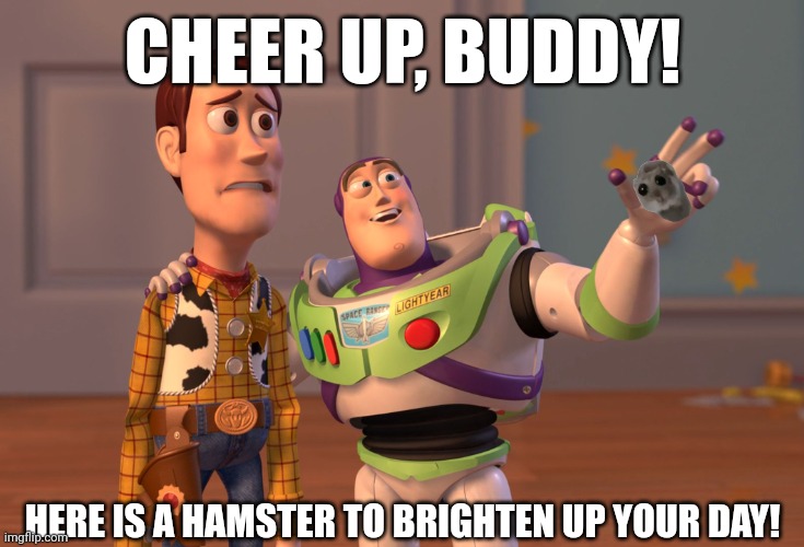 X, X Everywhere Meme | CHEER UP, BUDDY! HERE IS A HAMSTER TO BRIGHTEN UP YOUR DAY! | image tagged in memes,hamster,lol | made w/ Imgflip meme maker