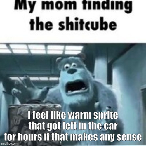 my mom finding the shitcube | i feel like warm sprite that got left in the car for hours if that makes any sense | image tagged in my mom finding the shitcube | made w/ Imgflip meme maker