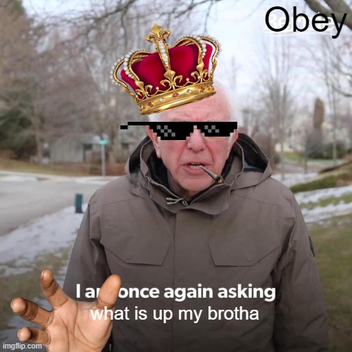 Bernie I Am Once Again Asking For Your Support Meme | Obey what is up my brotha | image tagged in memes,bernie i am once again asking for your support | made w/ Imgflip meme maker