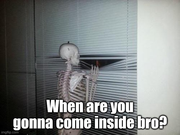 Skeleton Looking Out Window | When are you gonna come inside bro? | image tagged in skeleton looking out window | made w/ Imgflip meme maker