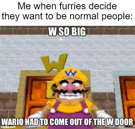W so big Wario | Me when furries decide they want to be normal people: | image tagged in w so big wario | made w/ Imgflip meme maker