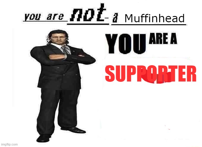 you are not a X | Muffinhead SUPPORTER | image tagged in you are not a x | made w/ Imgflip meme maker