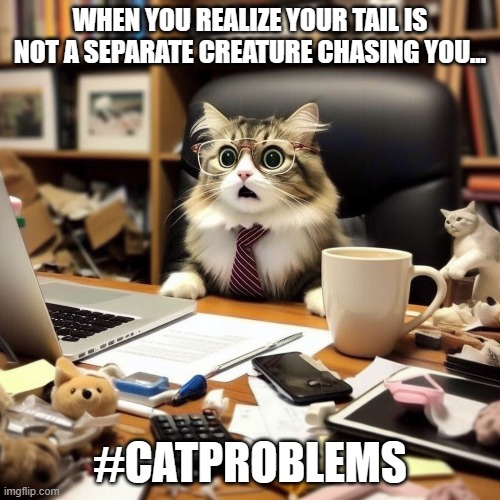 WHEN YOU REALIZE YOUR TAIL IS NOT A SEPARATE CREATURE CHASING YOU…; #CATPROBLEMS | made w/ Imgflip meme maker