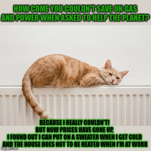 This #lolcat wonders if 'saving the planet' could be made into a business model | HOW COME YOU COULDN'T SAVE ON GAS AND POWER WHEN ASKED TO HELP THE PLANET? BECAUSE I REALLY COULDN'T! 
BUT NOW PRICES HAVE GONE UP, 
I FOUND OUT I CAN PUT ON A SWEATER WHEN I GET COLD 
AND THE HOUSE DOES NOT TO BE HEATED WHEN I'M AT WORK | image tagged in climate change,selfishness,lolcat,planet,power,energy | made w/ Imgflip meme maker