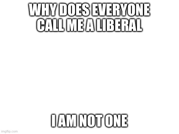 WHY DOES EVERYONE CALL ME A LIBERAL; I AM NOT ONE | made w/ Imgflip meme maker