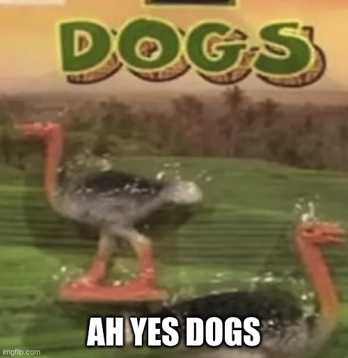 those are some weird dogs | AH YES DOGS | image tagged in dog | made w/ Imgflip meme maker