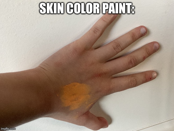 Skin color doesn’t match | SKIN COLOR PAINT: | image tagged in msmg | made w/ Imgflip meme maker