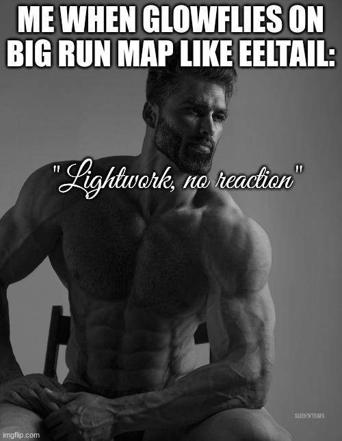 Giga Chad | ME WHEN GLOWFLIES ON BIG RUN MAP LIKE EELTAIL: "Lightwork, no reaction" | image tagged in giga chad | made w/ Imgflip meme maker