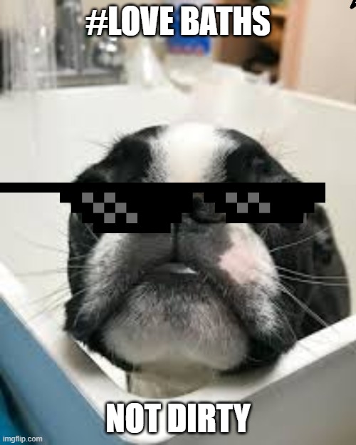 I Like baths | #LOVE BATHS; NOT DIRTY | image tagged in dog,sunglasses | made w/ Imgflip meme maker