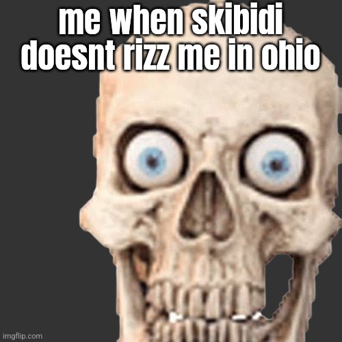 Goofy ahh shitty skull | me when skibidi doesnt rizz me in ohio | image tagged in goofy ahh shitty skull | made w/ Imgflip meme maker