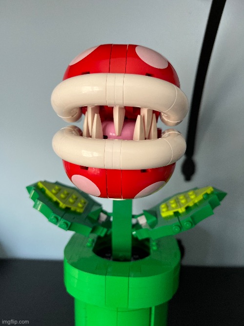 This will make a mighty fine houseplant (just finished this) | made w/ Imgflip meme maker