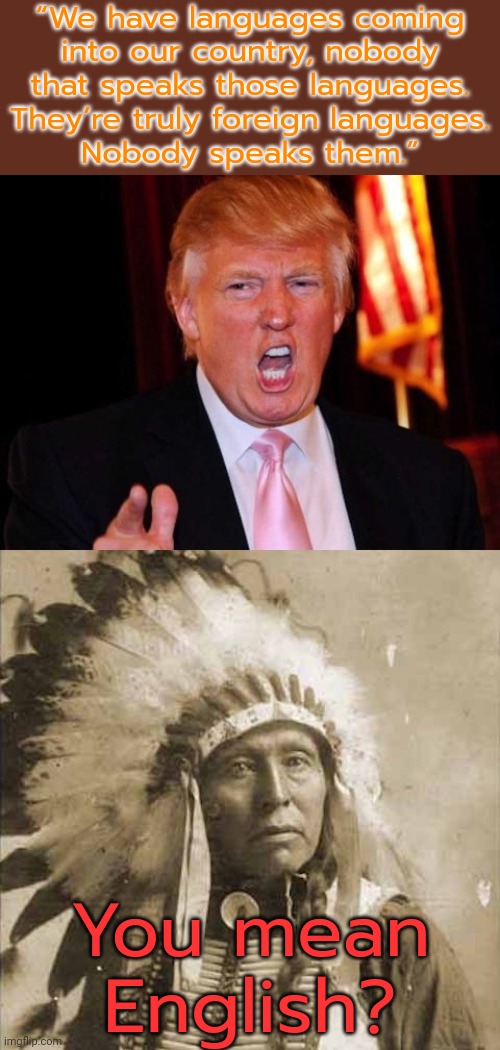 Your speech is slurred -- in more ways than one. | “We have languages coming
into our country, nobody that speaks those languages.
They’re truly foreign languages.
Nobody speaks them.”; You mean English? | image tagged in donald trump and native american,illegal immigrant,historical,reality check,covfefe,bigot | made w/ Imgflip meme maker
