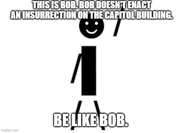 This is Bob | THIS IS BOB. BOB DOESN'T ENACT AN INSURRECTION ON THE CAPITOL BUILDING. BE LIKE BOB. | image tagged in this is bob | made w/ Imgflip meme maker