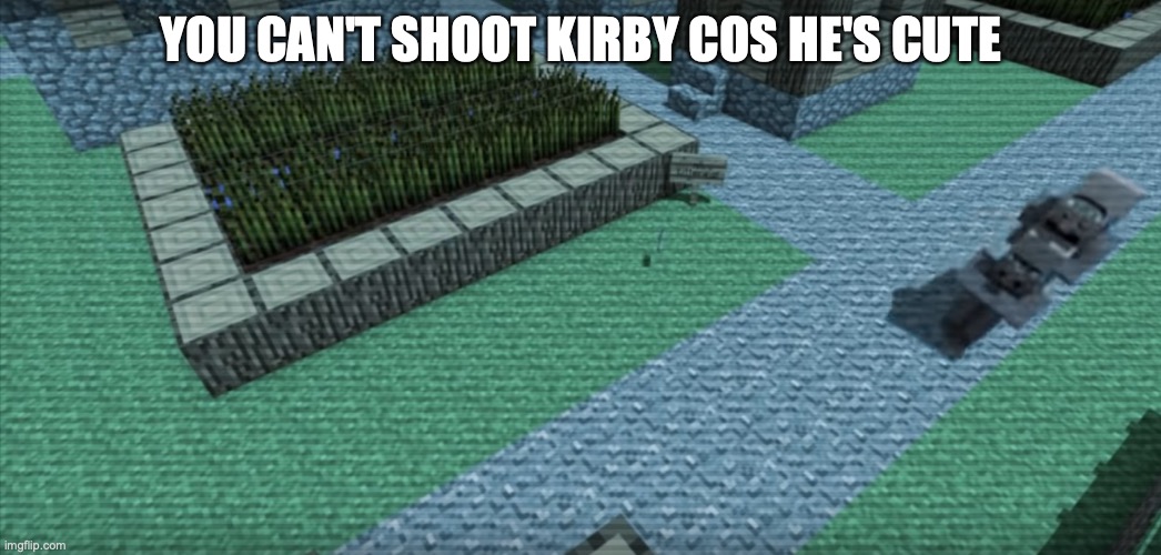 Villager News: Stop! You violated the law! | YOU CAN'T SHOOT KIRBY COS HE'S CUTE | image tagged in villager news stop you violated the law | made w/ Imgflip meme maker