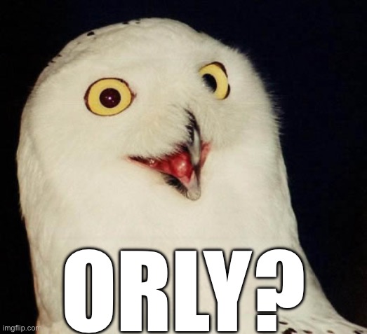 orly owl | ORLY? | image tagged in orly owl | made w/ Imgflip meme maker